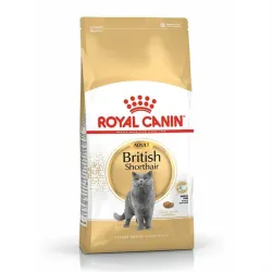 Royal Canin British Shorthair Yetişkin Kedi Maması 2kg - 1