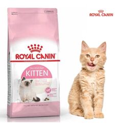 Royal Canin Rcn Cat Fhn 36 Kitten Kedi Maması 10 Kg - 1